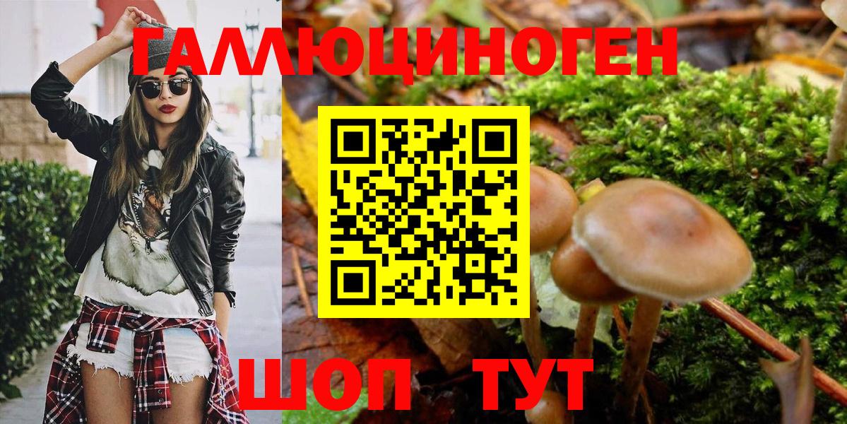 Галлюциногенные грибы Psilocybe  Вход с VPN  Богородск  Псилоцибиновые грибы Cubensis 
