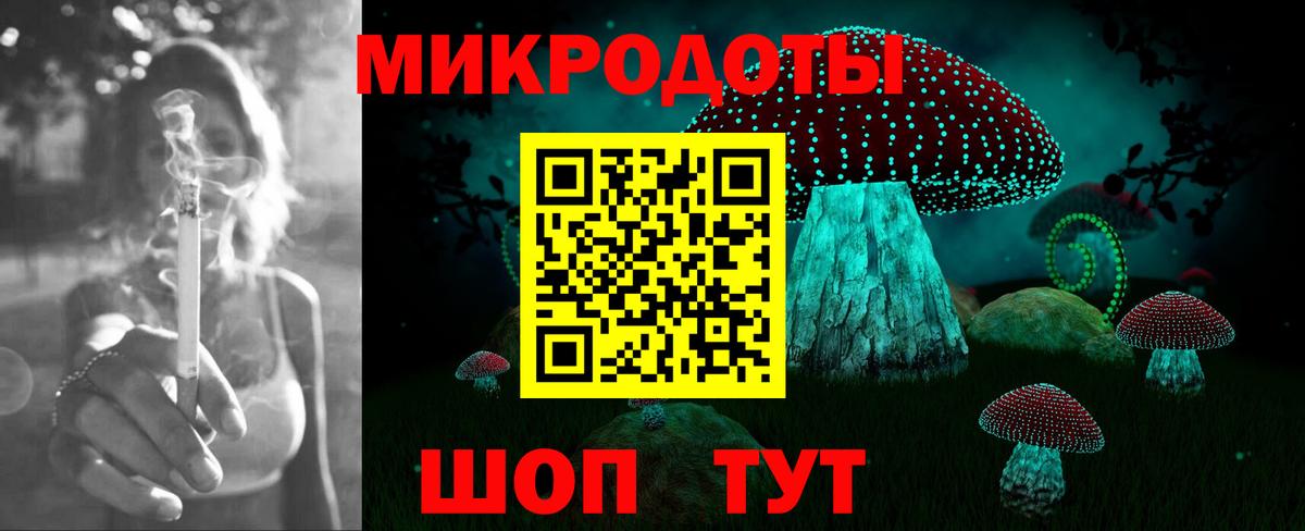 Галлюциногенные грибы Psilocybine cubensis Богородск
